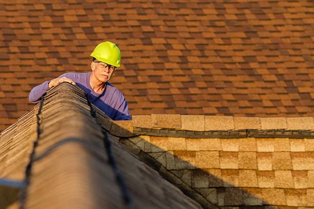 Best Roof Maintenance Services  in Warm Springs, CA
